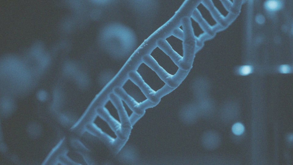 Jakie mają znaczenie geny w dziedziczeniu Hashimoto?
