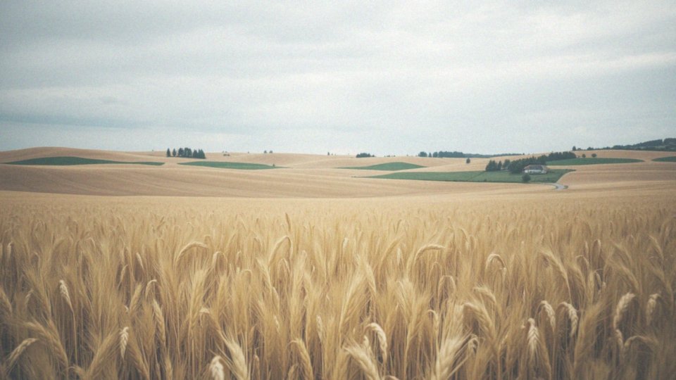 Jakie są obowiązki dzierżawcy w zakresie uprawy gruntów?